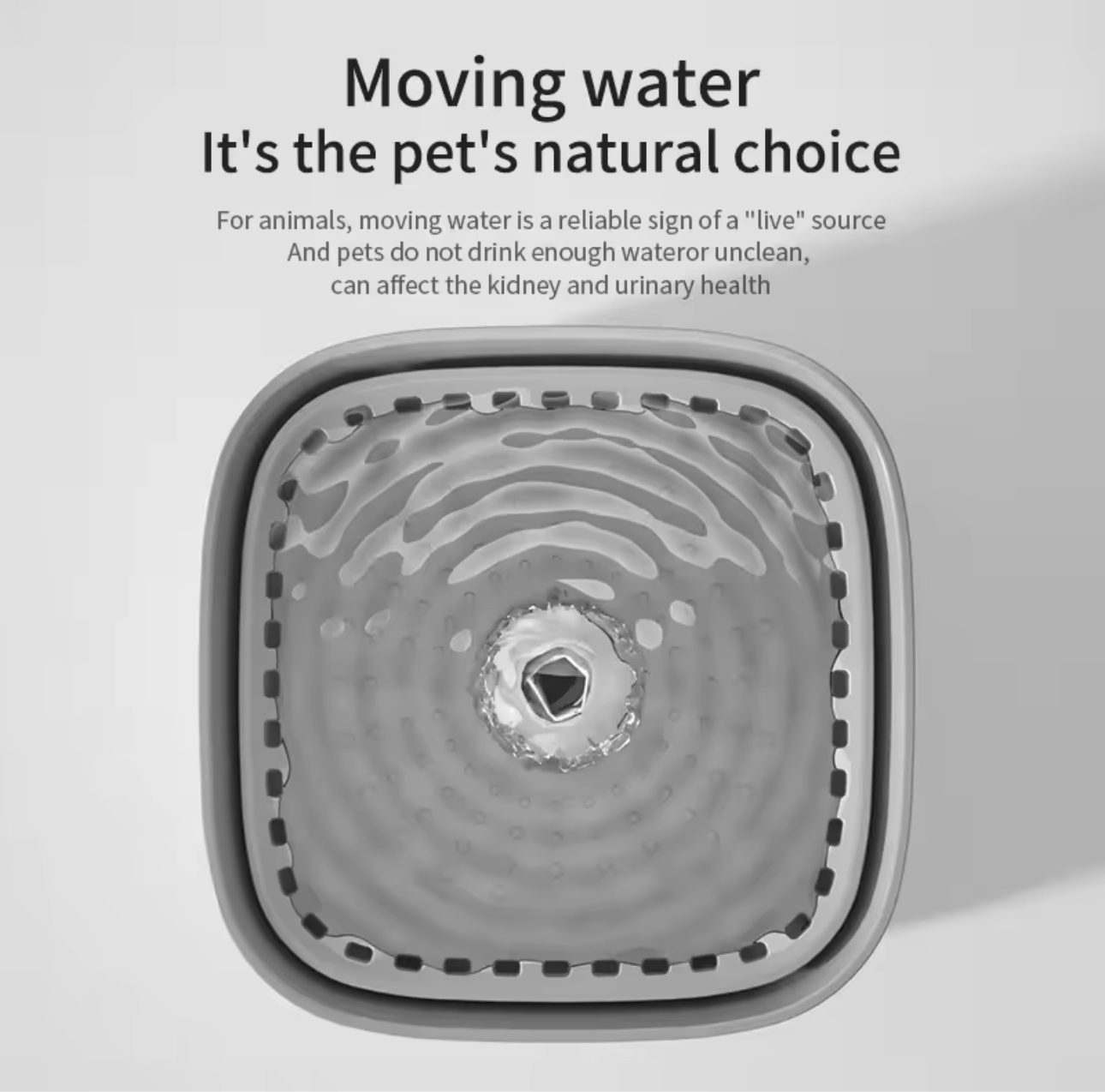 💧 Fontaine à Eau 3L pour Chat – Silencieuse, Filtrante & USB