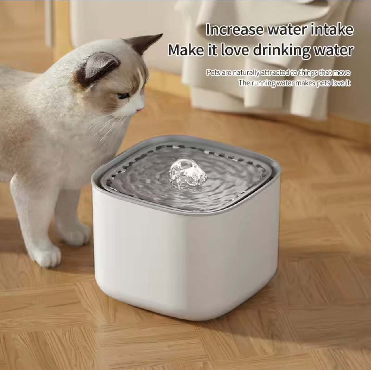 💧 Fontaine à Eau 3L pour Chat – Silencieuse, Filtrante & USB