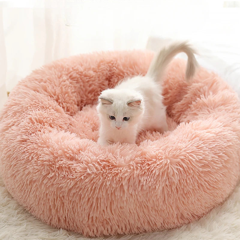 🐾 Lit Douillet en Peluche – Panier Rond Ultra-Confort pour Chat