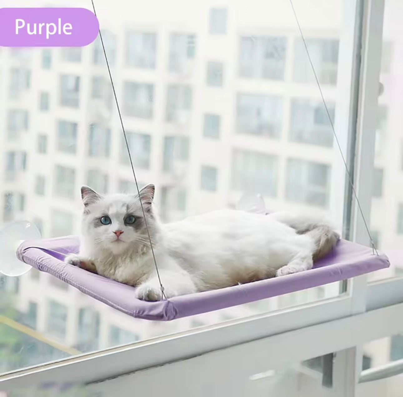 Hamac de Fenêtre pour Chat – Lit Suspendu avec Ventouses Résistantes | Jusqu’à 20 kg