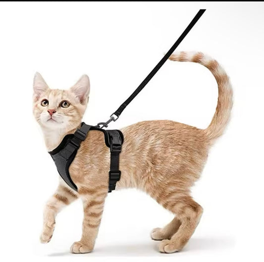 Harnais et laisse pour chat pour la marche, harnais de gilet doux et réglable anti-fuite pour chats.
