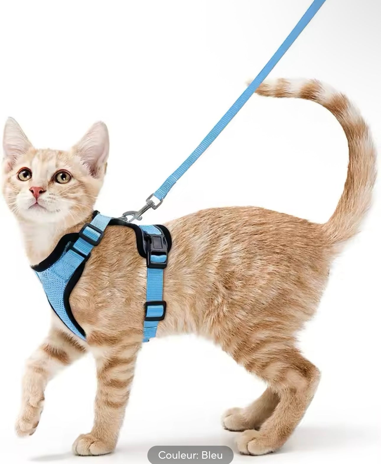 Harnais et laisse pour chat pour la marche, harnais de gilet doux et réglable anti-fuite pour chats.